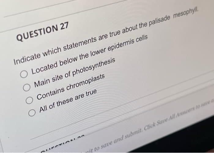 QUESTION 27
Indicate which statements are true about the palisade mesophyll.
Located below the lower epidermis cells
Main site of photosynthesis
Contains chromoplasts
O All of these are true
it to save and submit. Click Save All Answers to save a
