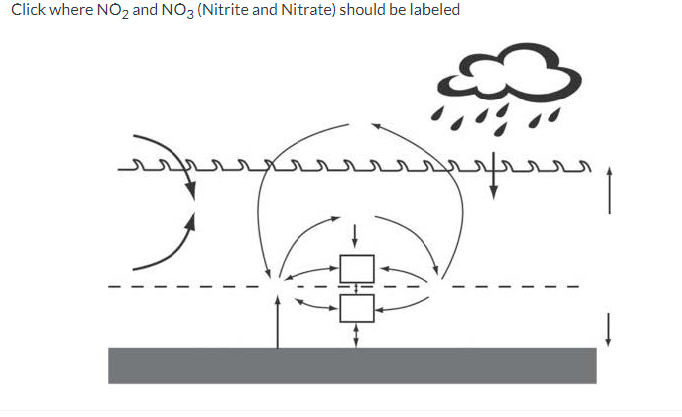 Click where NO₂ and NO3 (Nitrite and Nitrate) should be labeled
ܔܛܔܔܔܛܔܔܔܛܔܔܔ
ܔܔܢܜܔܔܔ
