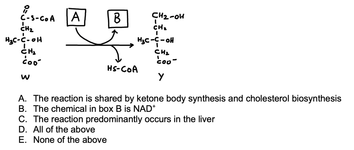 유
C-S-COA
CH₂
H₂C-C-OH
CH₂
coo
A
B
CH₂-011
CH₂
I
H₂C-C-OH
HS-COA
CH₂
cou-
Y
A. The reaction is shared by ketone body synthesis and cholesterol biosynthesis
B. The chemical in box B is NAD*
C. The reaction predominantly occurs in the liver
D. All of the above
E. None of the above