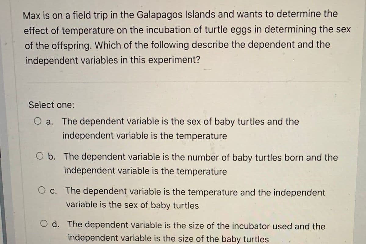 Max is on a field trip in the Galapagos Islands and wants to determine the
effect of temperature on the incubation of turtle eggs in determining the sex
of the offspring. Which of the following describe the dependent and the
independent variables in this experiment?
Select one:
O a. The dependent variable is the sex of baby turtles and the
independent variable is the temperature
O b. The dependent variable is the number of baby turtles born and the
independent variable is the temperature
O c. The dependent variable is the temperature and the independent
variable is the sex of baby turtles
O d. The dependent variable is the size of the incubator used and the
independent variable is the size of the baby turtles
