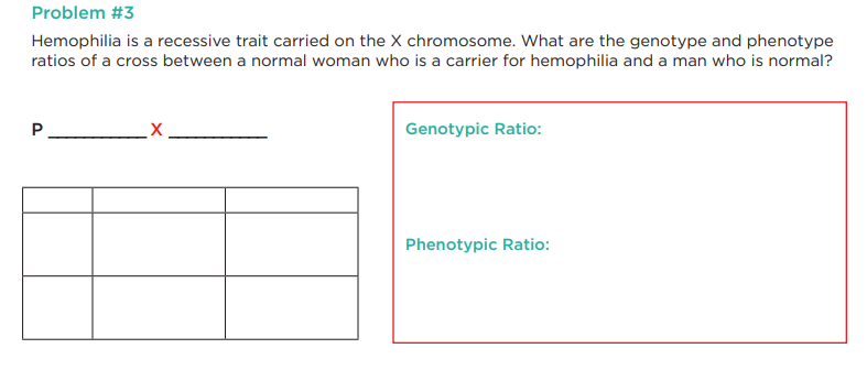 Problem #3
Hemophilia is a recessive trait carried on the X chromosome. What are the genotype and phenotype
ratios of a cross between a normal woman who is a carrier for hemophilia and a man who is normal?
P
Genotypic Ratio:
Phenotypic Ratio: