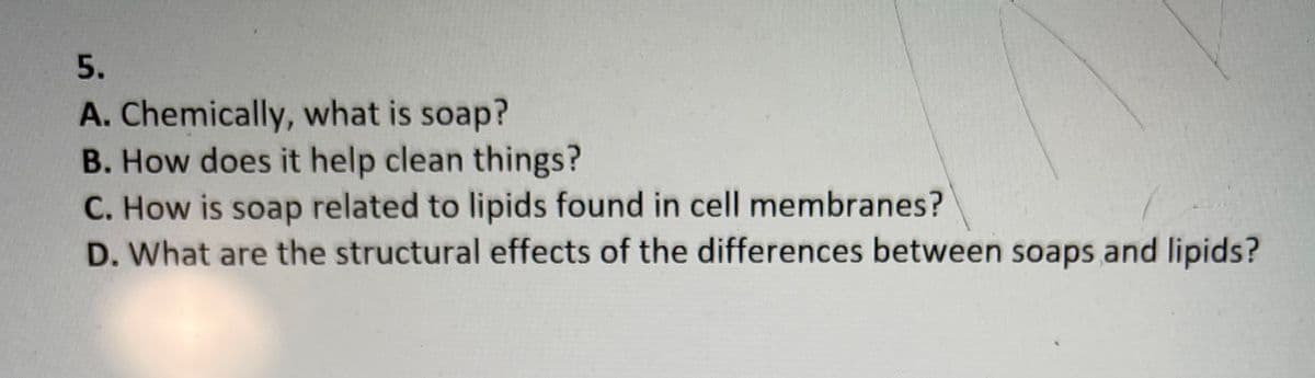 5.
A. Chemically, what is soap?
B. How does it help clean things?
C. How is soap related to lipids found in cell membranes?
D. What are the structural effects of the differences between soaps and lipids?
