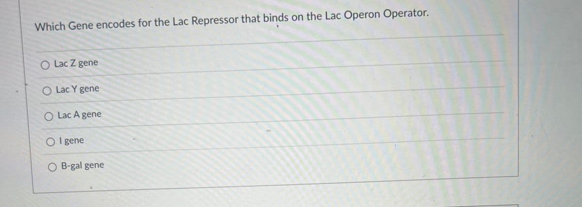 Which Gene encodes for the Lac Repressor that binds on the Lac Operon Operator.
O Lac Z gene
O Lac Y gene
O Lac A gene
Olgene
O B-gal gene