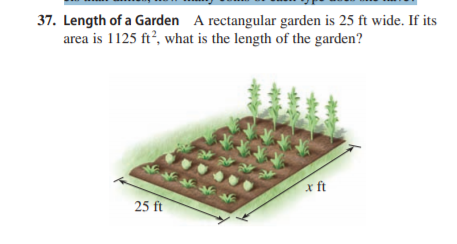 37. Length of a Garden A rectangular garden is 25 ft wide. If its
area is 1125 ft?, what is the length of the garden?
x ft
25 ft
