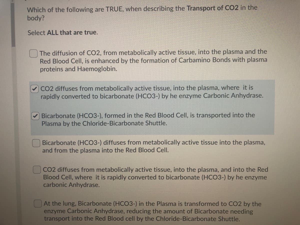 Which of the following are TRUE, when describing the Transport of CO2 in the
body?
Select ALL that are true.
The diffusion of CO2, from metabolically active tissue, into the plasma and the
Red Blood Cell, is enhanced by the formation of Carbamino Bonds with plasma
proteins and Haemoglobin.
CO2 diffuses from metabolically active tissue, into the plasma, where it is
rapidly converted to bicarbonate (HCO3-) by he enzyme Carbonic Anhydrase.
Bicarbonate (HCO3-), formed in the Red Blood Cell, is transported into the
Plasma by the Chloride-Bicarbonate Shuttle.
Bicarbonate (HCO3-) diffuses from metabolically active tissue into the plasma,
and from the plasma into the Red Blood Cell.
CO2 diffuses from metabolically active tissue, into the plasma, and into the Red
Blood Cell, where it is rapidly converted to bicarbonate (HCO3-) by he enzyme
carbonic Anhydrase.
O At the lung, Bicarbonate (HCO3-) in the Plasma is transformed to CO2 by the
enzyme Carbonic Anhydrase, reducing the amount of Bicarbonate needing
transport into the Red Blood cell by the Chloride-Bicarbonate Shuttle.

