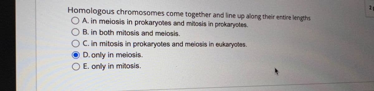 Homologous chromosomes come together and line up along their entire lengths
A. in meiosis in prokaryotes and mitosis in prokaryotes.
B. in both mitosis and meiosis.
C. in mitosis in prokaryotes and meiosis in eukaryotes.
D. only in meiosis.
E. only in mitosis.
2 p