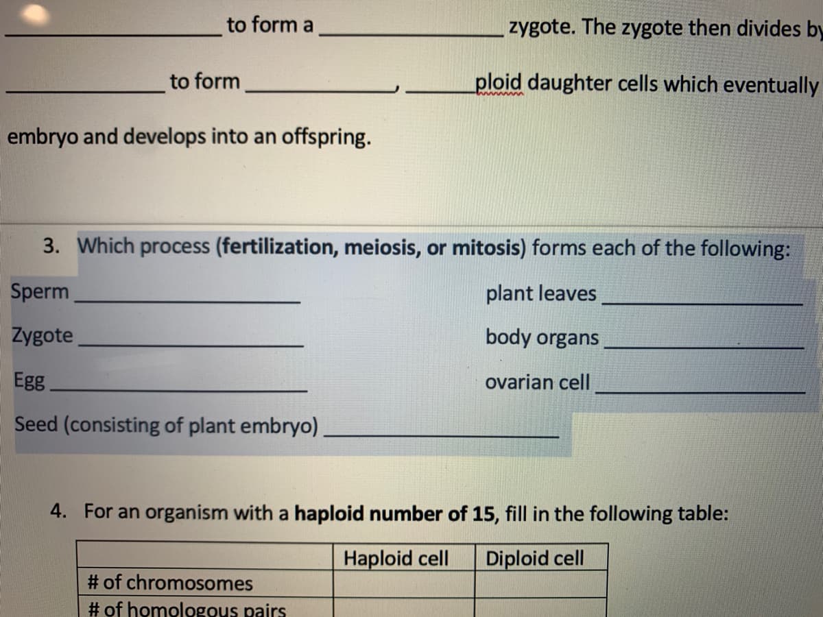 to form a
zygote. The zygote then divides by
to form
ploid daughter cells which eventually
www
embryo and develops into an offspring.
3. Which process (fertilization, meiosis, or mitosis) forms each of the following:
Sperm
plant leaves
Zygote
body organs
Egg
ovarian cell
Seed (consisting of plant embryo)
4. For an organism with a haploid number of 15, fill in the following table:
Haploid cell
Diploid cell
# of chromosomes
# of homologous pairs
