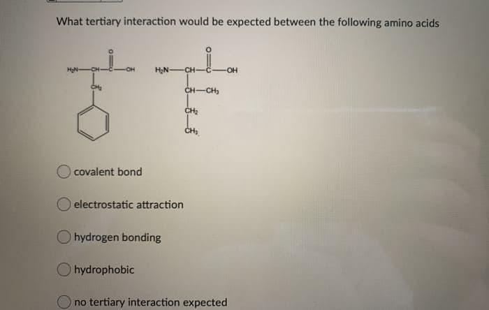 What tertiary interaction would be expected between the following amino acids
HN-
OH
HN-
CH-
OH
CH-CH,
covalent bond
electrostatic attraction
O hydrogen bonding
O hydrophobic
O no tertiary interaction expected
