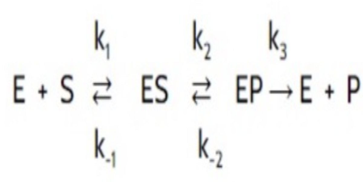 k, k, k,
E + S 2 ES 2 EP→E + P
k,
k2
-2
