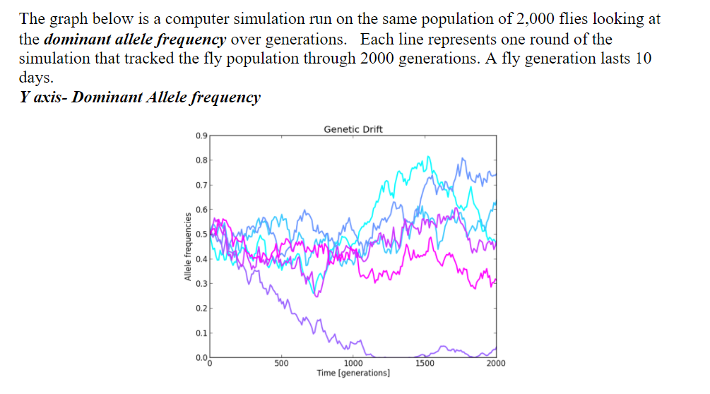 The graph below is a computer simulation run on the same population of 2,000 flies looking at
the dominant allele frequency over generations. Each line represents one round of the
simulation that tracked the fly population through 2000 generations. A fly generation lasts 10
days.
Y axis- Dominant Allele frequency
Genetic Drift
0.9
0.8
A
0.7
0.6
0.5
0.4V
0.3
0.2
0.1
0.06
1000
Time (generations]
500
1500
2000
Allele frequencies
