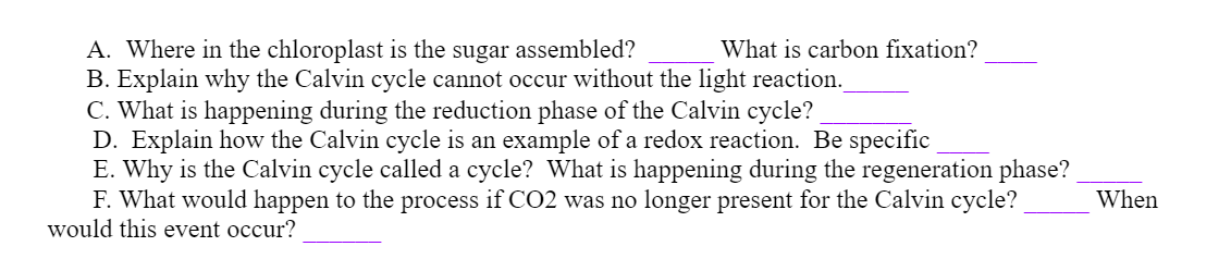 A. Where in the chloroplast is the sugar assembled?
B. Explain why the Calvin cycle cannot occur without the light reaction.
C. What is happening during the reduction phase of the Calvin cycle?
D. Explain how the Calvin cycle is an example of a redox reaction. Be specific
E. Why is the Calvin cycle called a cycle? What is happening during the regeneration phase?
F. What would happen to the process if CO2 was no longer present for the Calvin cycle?
would this event occur?
What is carbon fixation?
When
