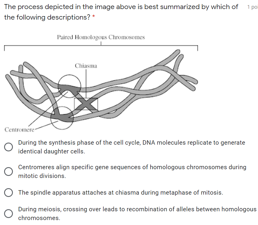The process depicted in the image above is best summarized by which of
the following descriptions? *
1 por
Paired Homologous Chromosomes
Chiasma
Centromere-
During the synthesis phase of the cell cycle, DNA molecules replicate to generate
identical daughter cells.
Centromeres align specific gene sequences of homologous chromosomes during
mitotic divisions.
The spindle apparatus attaches at chiasma during metaphase of mitosis.
During meiosis, crossing over leads to recombination of alleles between homologous
chromosomes.
