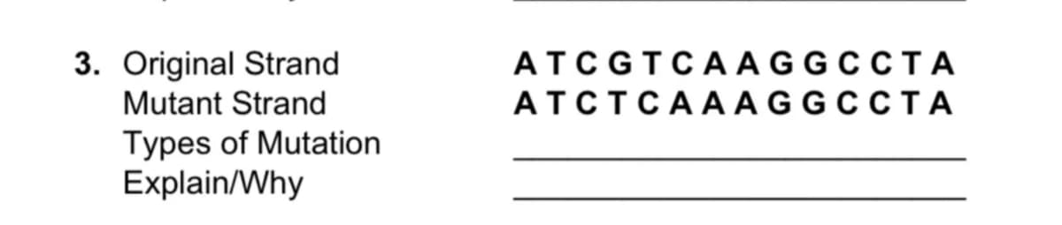 3. Original Strand
Mutant Strand
ATCGTCAAGGCCTA
ATCTCAA AGG C CT A
Types of Mutation
Explain/Why
