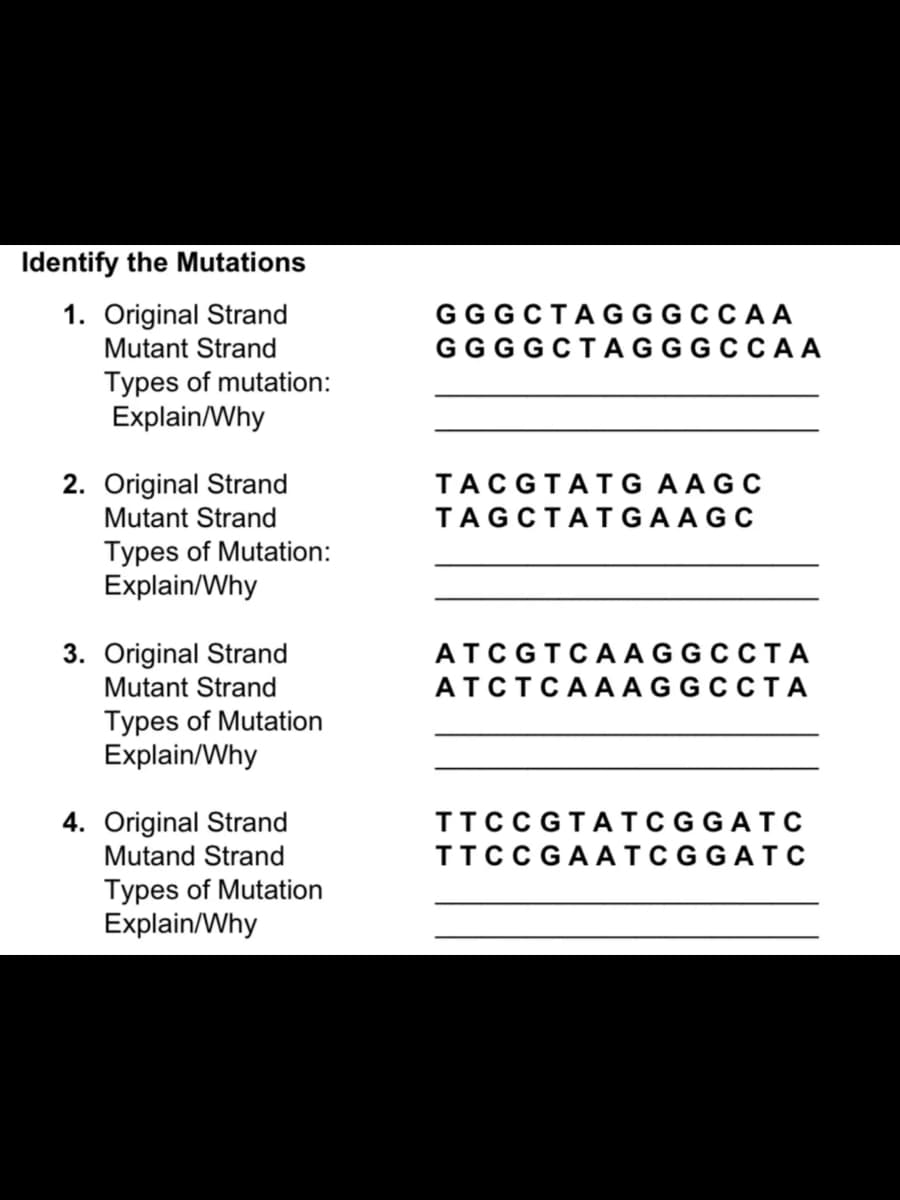 Identify the Mutations
1. Original Strand
Mutant Strand
GGGCTAGGGCCAA
GGGGCTAGGGCCAA
Types of mutation:
Explain/Why
2. Original Strand
Mutant Strand
TACGTATG AAGC
TAGCTATGAAGC
Types of Mutation:
Explain/Why
3. Original Strand
Mutant Strand
АТCGTCAAGGCCTA
АТСТСААAGGCCTA
Types of Mutation
Explain/Why
4. Original Strand
Mutand Strand
TTCC GTATCGGATC
TTCC GAATCGGATC
Types of Mutation
Explain/Why

