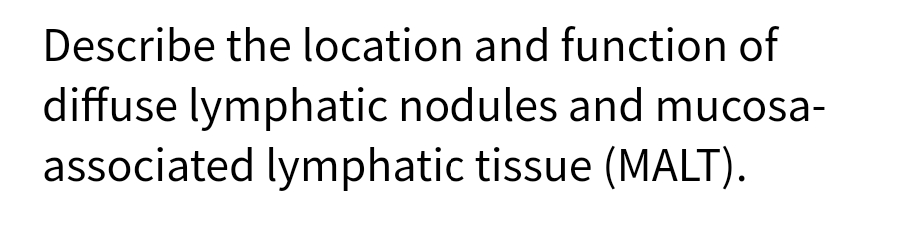 Describe the location and function of
diffuse lymphatic nodules and mucosa-
associated lymphatic tissue (MALT).
