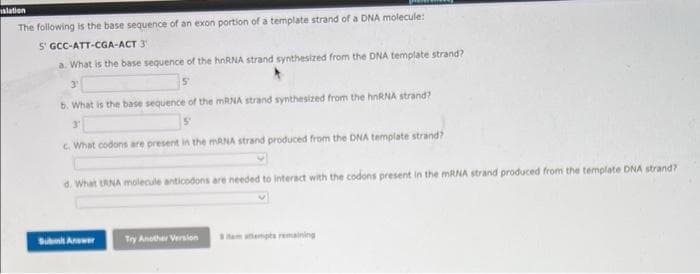 slation
The following is the base sequence of an exon portion of a template strand of a DNA molecule:
5' GCC-ATT-CGA-ACT 3
a. What is the base sequence of the hnRNA strand synthesized from the DNA template strand?
3'
b. What is the base sequence of the MRNA strand synthesized from the hnRNA strand?
c. What codons are present in the mRNA strand produced from the DNA template strand?
d. What tRNA molecule anticodons are needed to interact with the codons present in the MRNA strand produced from the template DNA strand?
Submt Anwer
Try Another Versilon
em empts remaining
