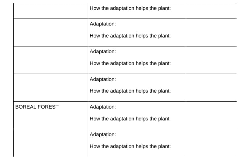 BOREAL FOREST
How the adaptation helps the plant:
Adaptation:
How the adaptation helps the plant:
Adaptation:
How the adaptation helps the plant:
Adaptation:
How the adaptation helps the plant:
Adaptation:
How the adaptation helps the plant:
Adaptation:
How the adaptation helps the plant: