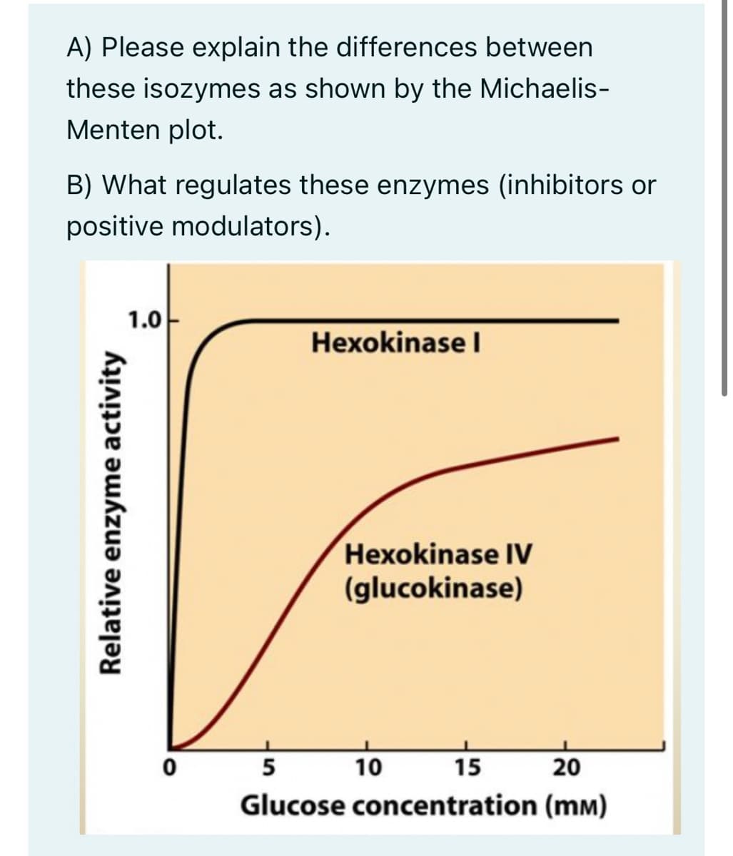 A) Please explain the differences between
these isozymes as shown by the Michaelis-
Menten plot.
B) What regulates these enzymes (inhibitors or
positive modulators).
Relative enzyme activity
1.0
Hexokinase l
Hexokinase IV
(glucokinase)
5
15
20
Glucose concentration (mm)
10