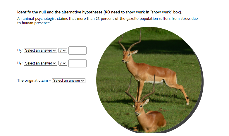 Identify the null and the alternative hypotheses (NO need to show work in "show work" box).
An animal psychologist claims that more than 23 percent of the gazelle population suffers from stress due
to human presence.
Họ: Select an answer v
H;: Select an answer v
The original claim = Select an answer v

