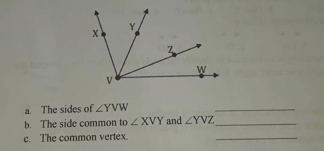 W
V
a.
The sides of YVW
b. The side common to Z XVY and ZYVZ
C. The common vertex.
