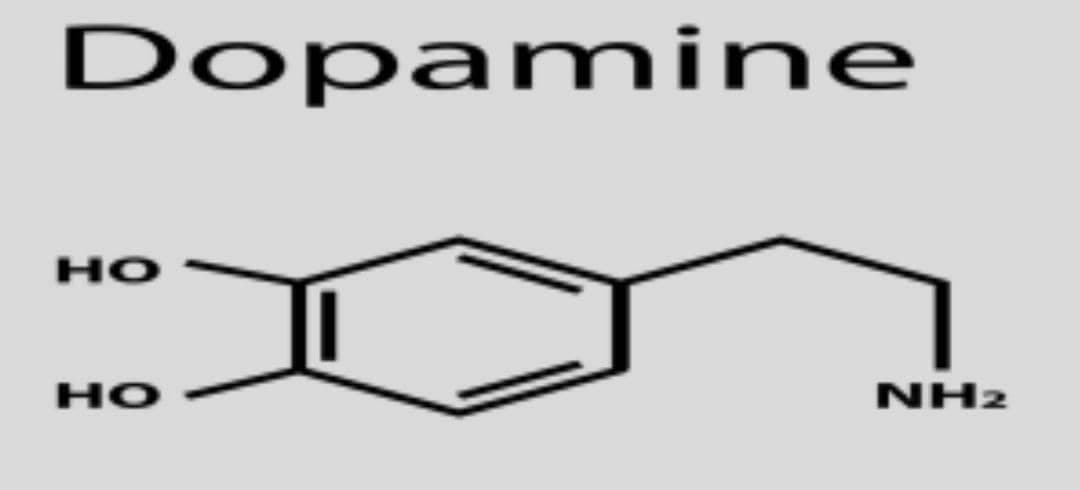 Dopamine
но
но
NH2
