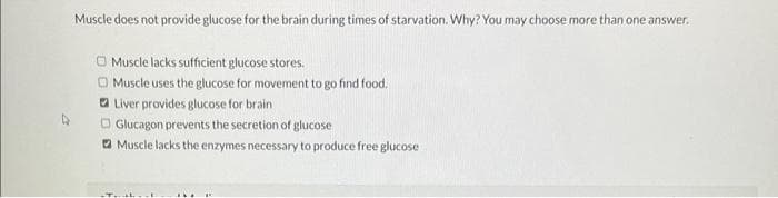 Muscle does not provide glucose for the brain during times of starvation. Why? You may choose more than one answer.
Muscle lacks sufficient glucose stores.
Muscle uses the glucose for movement to go find food.
Liver provides glucose for brain
Glucagon prevents the secretion of glucose
Muscle lacks the enzymes necessary to produce free glucose