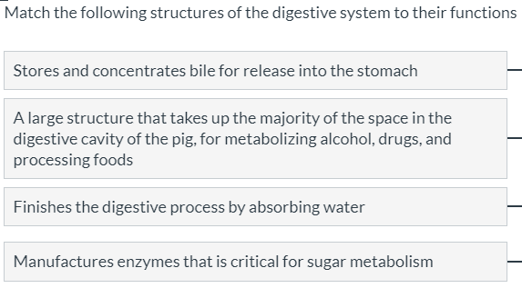 Match the following structures of the digestive system to their functions
Stores and concentrates bile for release into the stomach
A large structure that takes up the majority of the space in the
digestive cavity of the pig, for metabolizing alcohol, drugs, and
processing foods
Finishes the digestive process by absorbing water
Manufactures enzymes that is critical for sugar metabolism
