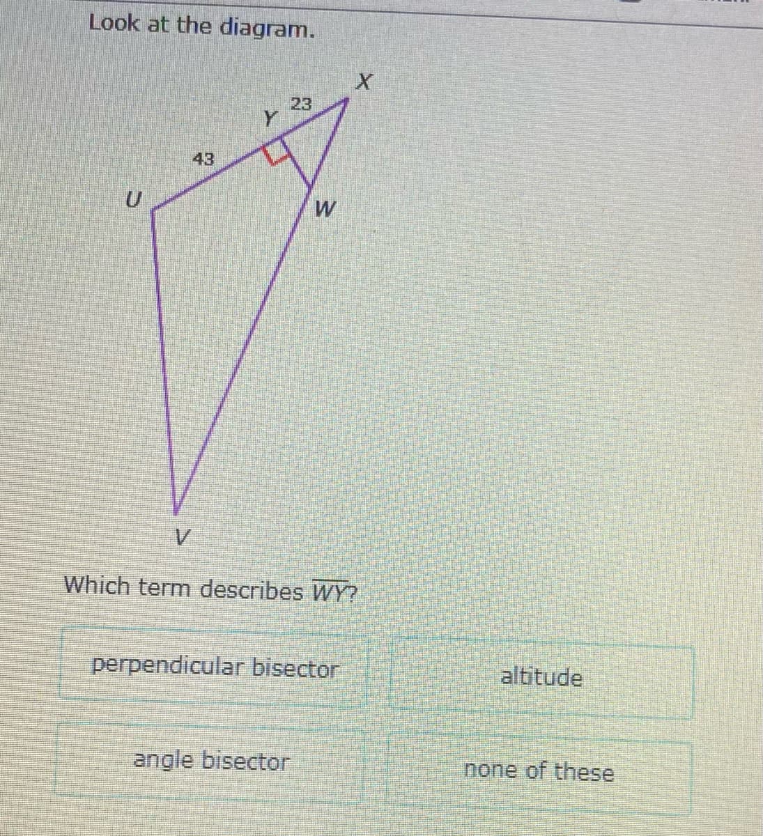 Look at the diagram.
23
43
Which term describes WY?
perpendicular bisector
altitude
angle bisector
none of these
