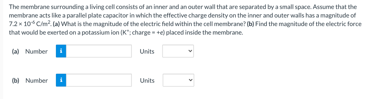 The membrane surrounding a living cell consists of an inner and an outer wall that are separated by a small space. Assume that the
membrane acts like a parallel plate capacitor in which the effective charge density on the inner and outer walls has a magnitude of
7.2 x 10-6 C/m². (a) What is the magnitude of the electric field within the cell membrane? (b) Find the magnitude of the electric force
that would be exerted on a potassium ion (K*; charge = +e) placed inside the membrane.
(a) Number
i
Units
(b) Number
i
Units

