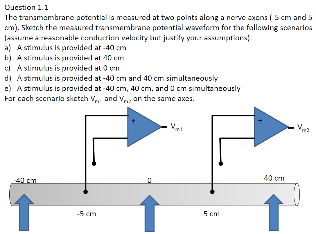 Question 1.1
The transmembrane potential is measured at two points along a nerve axons (-5 cm and 5
cm). Sketch the measured transmembrane potential waveform for the following scenarios
(assume a reasonable conduction velocity but justify your assumptions):
a) A stimulus is provided at -40 cm
b) A stimulus is provided at 40 cm
c) A stimulus is provided at 0 cm
d) A stimulus is provided at -40 cm and 40 cm simultaneously
e) A stimulus is provided at -40 cm, 40 cm, and 0 cm simultaneously
For each scenario sketch V and Vm2 on the same axes.
m1
Vm1
m2
-40 cm
40 cm
-5 сm
5 сm
