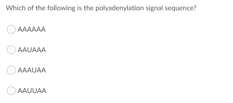 Which of the following is the polyadenylation signal sequence?
AAAAAA
AAUAAA
O AAAUAA
O AAUUAA
