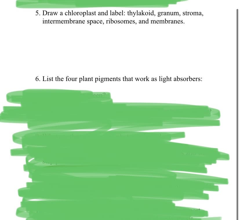 5. Draw a chloroplast and label: thylakoid, granum, stroma,
intermembrane space, ribosomes, and membranes.
6. List the four plant pigments that work as light absorbers:
een?
