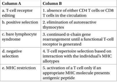 Column A
Column B
a. T-cell receptor
| editing
b. positive selection 2. elimination of autoreactive
1. absence of either CD4 T cells or CD8
T cells in the circulation
thymocytes
c. bare lymphocyte 3. continued a-chain gene
syndrome
rearrangement until a functional T-cell
receptor is generated
d. negative
selection
4. T-cell repertoire selection based on
interaction with the individual's MHC
allotypes
e. MHC restriction 5. activation of aT cell only if an
appropriate MHC molecule presents
antigenic peptide

