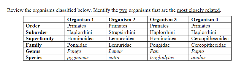 Review the organisms classified below. Identify the two organisms that are the most closely related.
Organism 3
Organism 4
Primates
Primates
Haplorrhini
Organism 1
Order
Primates
Haplorrhini
Suborder
Superfamily Hominoidea
Family
Genus
Species
Pongidae
Pongo
pygmaeus
Organism 2
Primates
Strepsirrhini
Lemuroidea
Lemuridae
Lemur
catta
Haplorrhini
Hominoidea
Pongidae
Pan
troglodytes
Cercopithecoidea
Cercopithecidae
Papio
anubis