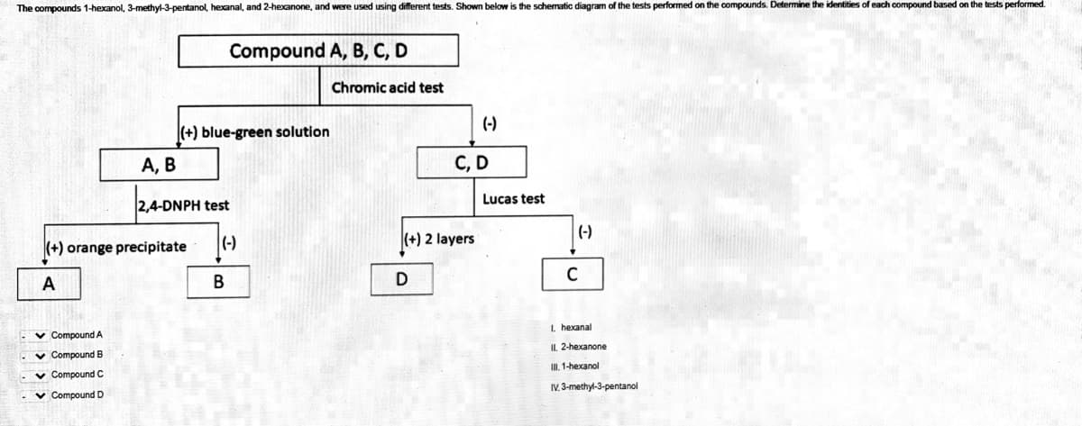 The compounds 1-hexanol, 3-methyl-3-pentanol, hexanal, and 2-hexanone, and were used using different tests. Shown below is the schematic diagram of the tests performed on the compounds. Determine the identities of each compound based on the tests performed.
Compound A, B, C, D
Chromic acid test
(-)
|(+) blue-green solution
А, В
C, D
Lucas test
2,4-DNPH test
(-)
|(+) orange precipitate
(-)
(+) 2 layers
A
В
D
1. hexanal
v Compound A
IL 2-hexanone
v Compound B
v Compound C
II, 1-hexanol
IV. 3-methyl-3-pentanol
v Compound D
