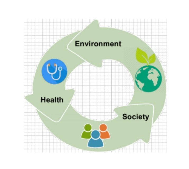 Environment
Health
Society
