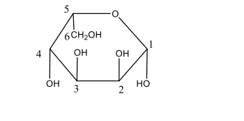 6CH2OH
4
OH
OH
Он
3
но
2.
