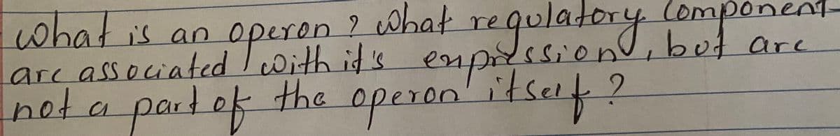 what
arc associated IWith it's
not a
regulatory.
is an operon
odc.omesiond, bot are
the
operon'itsef?
empilisiond lompon
partef
ir.
