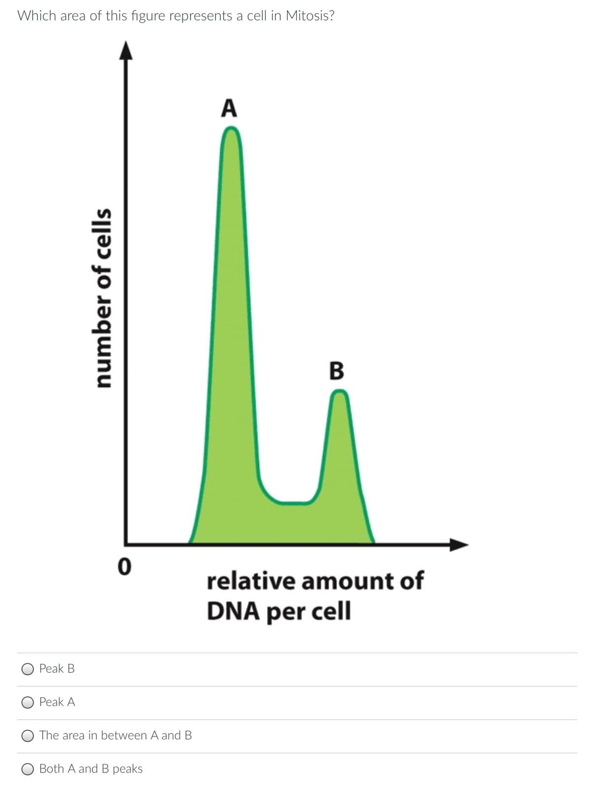 Which area of this figure represents a cell in Mitosis?
Peak B
Peak A
number of cells
0
The area in between A and B
Both A and B peaks
A
B
relative amount of
DNA per cell