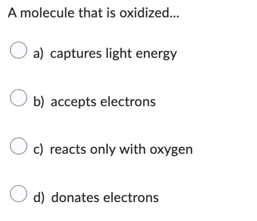 A molecule that is oxidized...
a) captures light energy
Ob) accepts electrons
Oc) reacts only with oxygen
O d) donates electrons