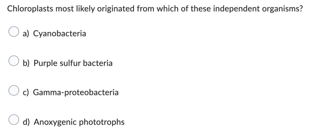 Chloroplasts most likely originated from which of these independent organisms?
a) Cyanobacteria
b) Purple sulfur bacteria
c) Gamma-proteobacteria
d) Anoxygenic phototrophs