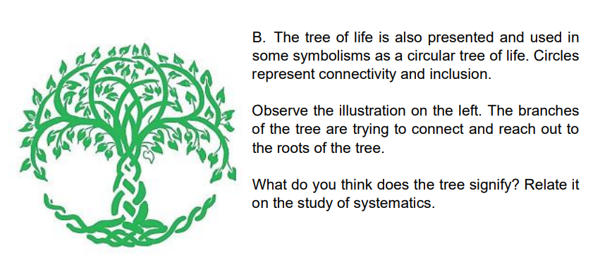 B. The tree of life is also presented and used in
some symbolisms as a circular tree of life. Circles
represent connectivity and inclusion.
Observe the illustration on the left. The branches
of the tree are trying to connect and reach out to
the roots of the tree.
What do you think does the tree signify? Relate it
on the study of systematics.
