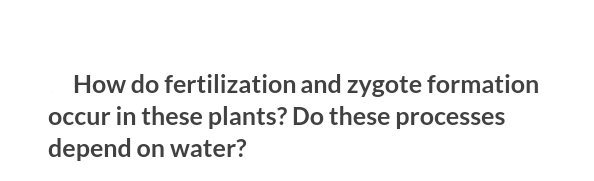 How do fertilization and zygote formation
occur in these plants? Do these processes
depend on water?
