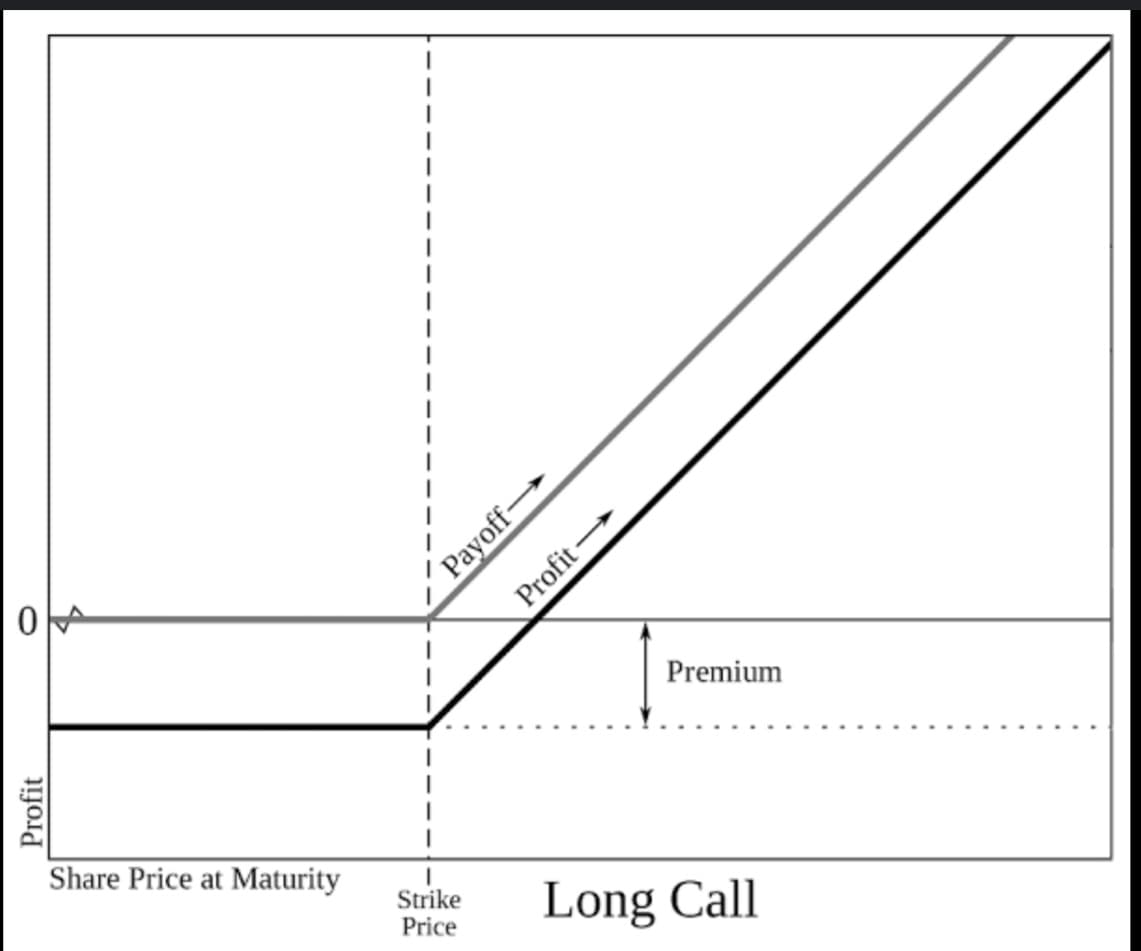 O
Profit
Share Price at Maturity
1
1
Strike
Price
Payoff-
Profit-
Premium
Long Call
