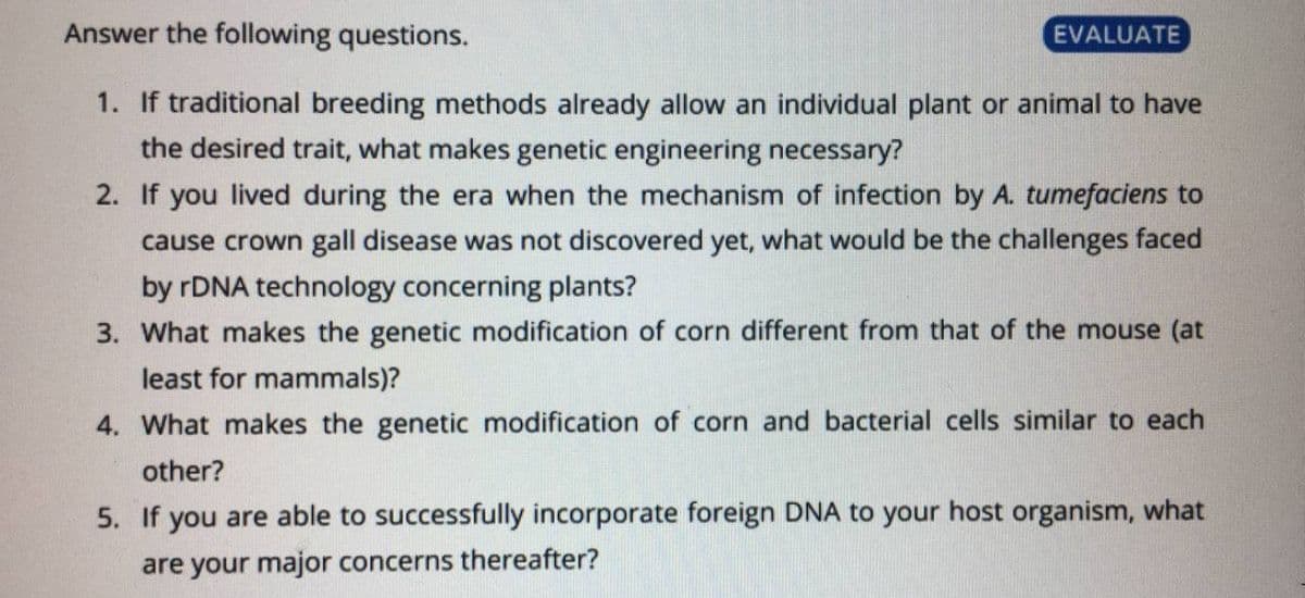Answer the following questions.
EVALUATE
1. If traditional breeding methods already allow an individual plant or animal to have
the desired trait, what makes genetic engineering necessary?
2. If you lived during the era when the mechanism of infection by A. tumefaciens to
cause crown gall disease was not discovered yet, what would be the challenges faced
by rDNA technology concerning plants?
3. What makes the genetic modification of corn different from that of the mouse (at
least for mammals)?
4. What makes the genetic modification of corn and bacterial cells similar to each
other?
5. If you are able to successfully incorporate foreign DNA to your host organism, what
are your major concerns thereafter?
