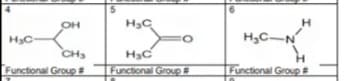 5
OH
H3C-
H3C-N
CH
Functional Group
H3C
Functional Group #
Functional Group
