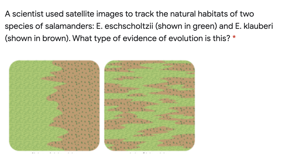 A scientist used satellite images to track the natural habitats of two
species of salamanders: E. eschscholtzii (shown in green) and E. klauberi
(shown in brown). What type of evidence of evolution is this? *
