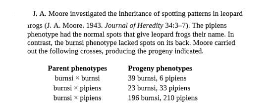 J. A. Moore investigated the inheritance of spotting patterns in leopard
irogs (J. A. Moore. 1943. Journal of Heredity 34:3-7). The pipiens
phenotype had the normal spots that give leopard frogs their name. In
contrast, the burnsi phenotype lacked spots on its back. Moore carried
out the following crosses, producing the progeny indicated.
Parent phenotypes
burnsi x burnsi
burnsi x pipiens
burnsi x pipiens
Progeny phenotypes
39 burnsi, 6 pipiens
23 burnsi, 33 pipiens
196 burnsi, 210 pipiens
