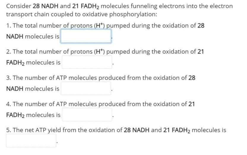 Consider 28 NADH and 21 FADH2 molecules funneling electrons into the electron
transport chain coupled to oxidative phosphorylation:
1. The total number of protons (H*) pumped during the oxidation of 28
NADH molecules is
2. The total number of protons (H*) pumped during the oxidation of 21
FADH2 molecules is
3. The number of ATP molecules produced from the oxidation of 28
NADH molecules is
4. The number of ATP molecules produced from the oxidation of 21
FADH2 molecules is
5. The net ATP yield from the oxidation of 28 NADH and 21 FADH2 molecules is
