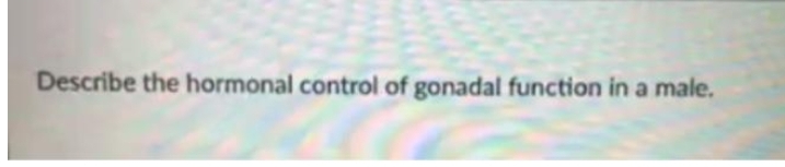 Describe the hormonal control of gonadal function in a male.
